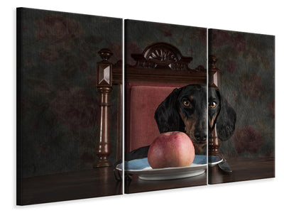 3-piece-canvas-print-an-apple-a-day-keeps-the-doctor-away