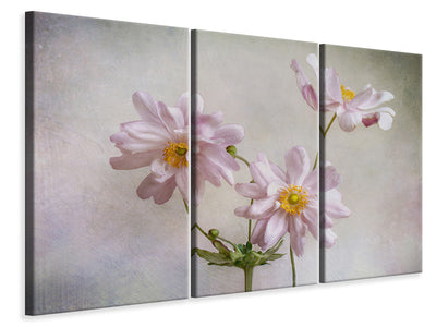 3-piece-canvas-print-anemones