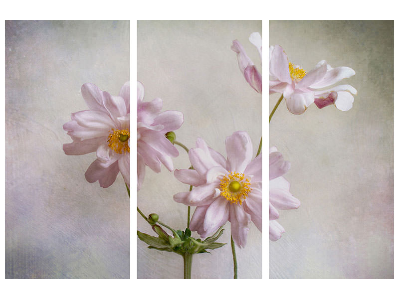 3-piece-canvas-print-anemones