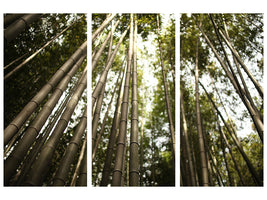 3-piece-canvas-print-arashiyama-japan