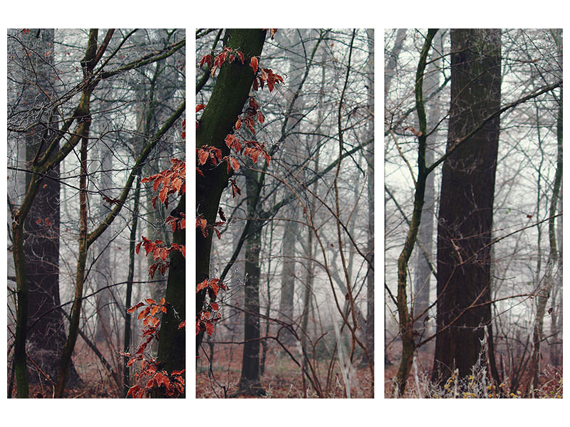 3-piece-canvas-print-autumn-winter