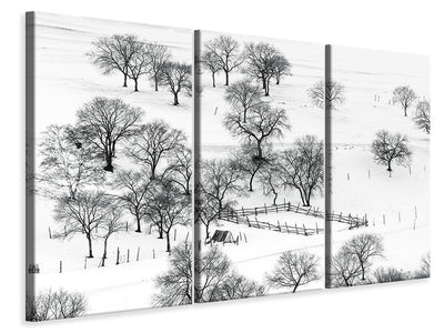 3-piece-canvas-print-bashang-winter