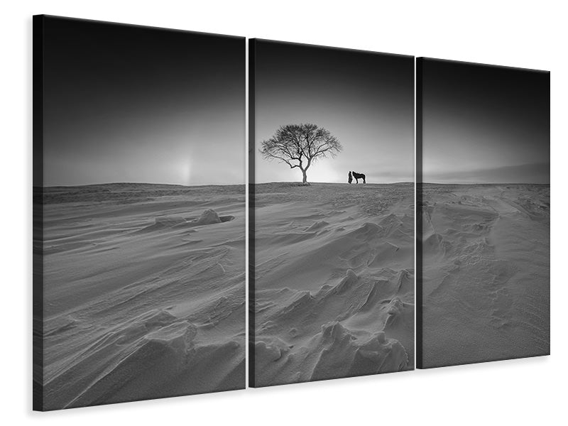 3-piece-canvas-print-be-distressed-at-parting