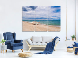 3-piece-canvas-print-beach-parking