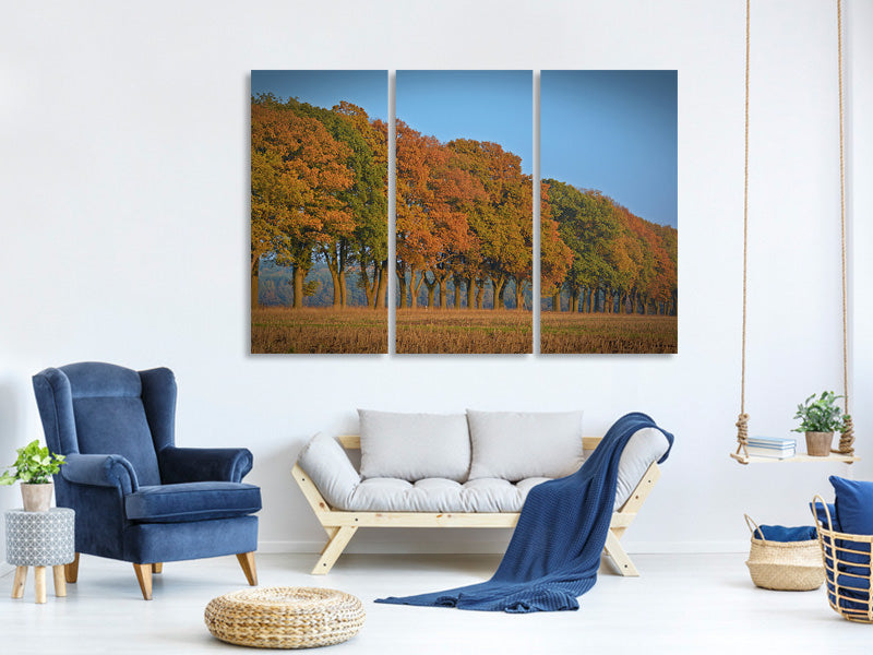 3-piece-canvas-print-beautiful-autumn