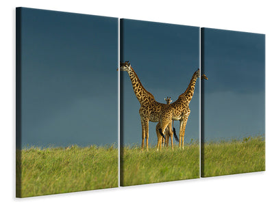 3-piece-canvas-print-between-the-two