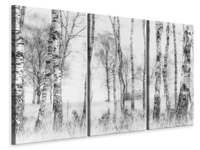 3-piece-canvas-print-black-and-white