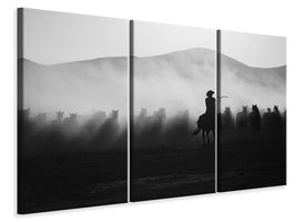 3-piece-canvas-print-chasing-the-jades