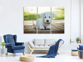 3-piece-canvas-print-cute-dog-baby