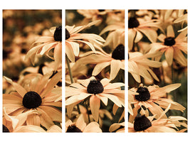 3-piece-canvas-print-daisies-in-sepia