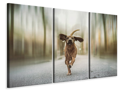 3-piece-canvas-print-dancing-in-the-streets