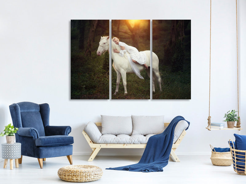 3-piece-canvas-print-emotional