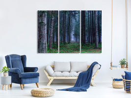 3-piece-canvas-print-fir-trees-forest