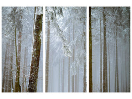 3-piece-canvas-print-forest-in-winter