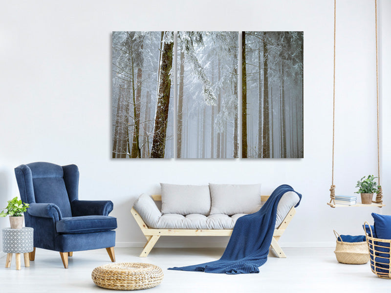 3-piece-canvas-print-forest-in-winter