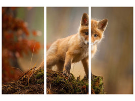 3-piece-canvas-print-fox