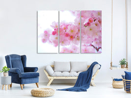 3-piece-canvas-print-japanese-cherry-blossom-xl