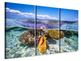 3-piece-canvas-print-lagoon-life