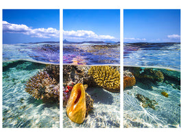 3-piece-canvas-print-lagoon-life