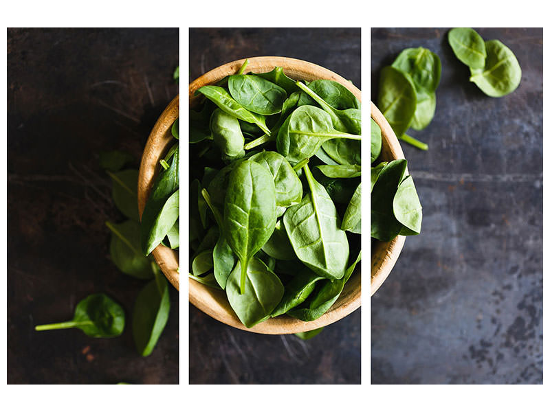 3-piece-canvas-print-leaves-of-basil-iii