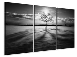 3-piece-canvas-print-light-iv