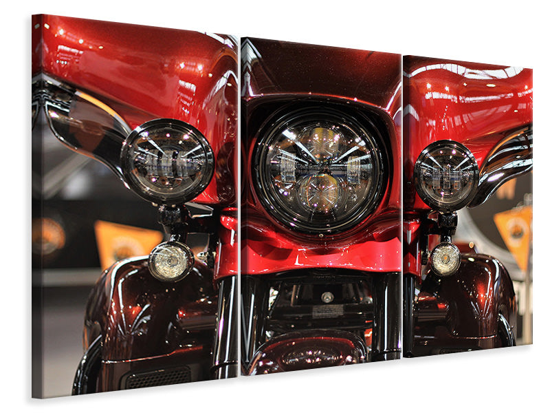 3-piece-canvas-print-motorcycle-man-dream