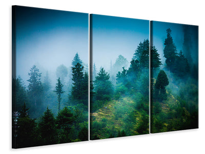 3-piece-canvas-print-mysterious-forest-ii