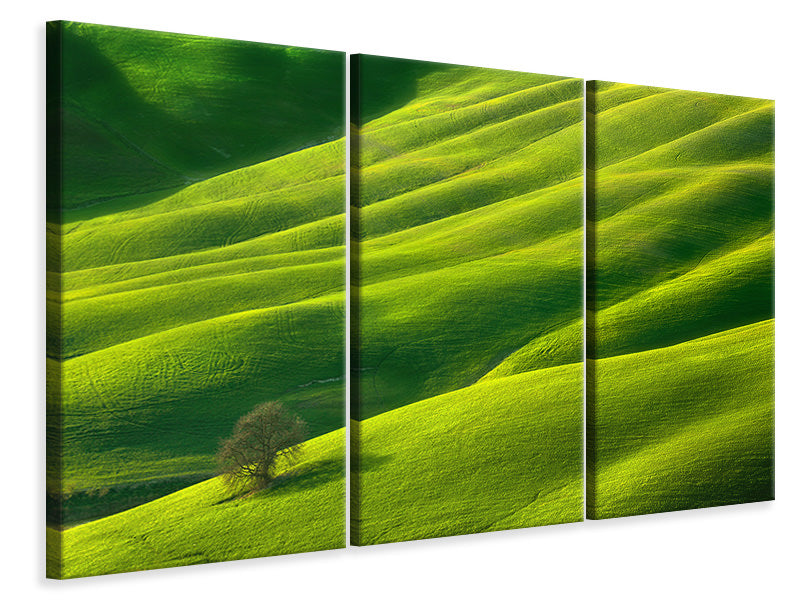 3-piece-canvas-print-one