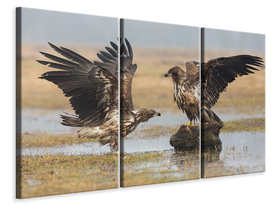3-piece-canvas-print-open-wings