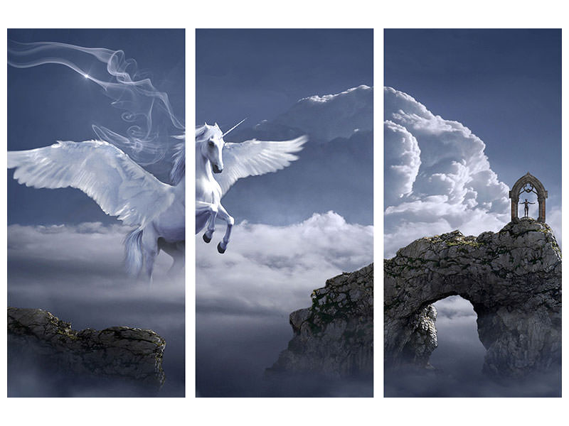 3-piece-canvas-print-pegasus