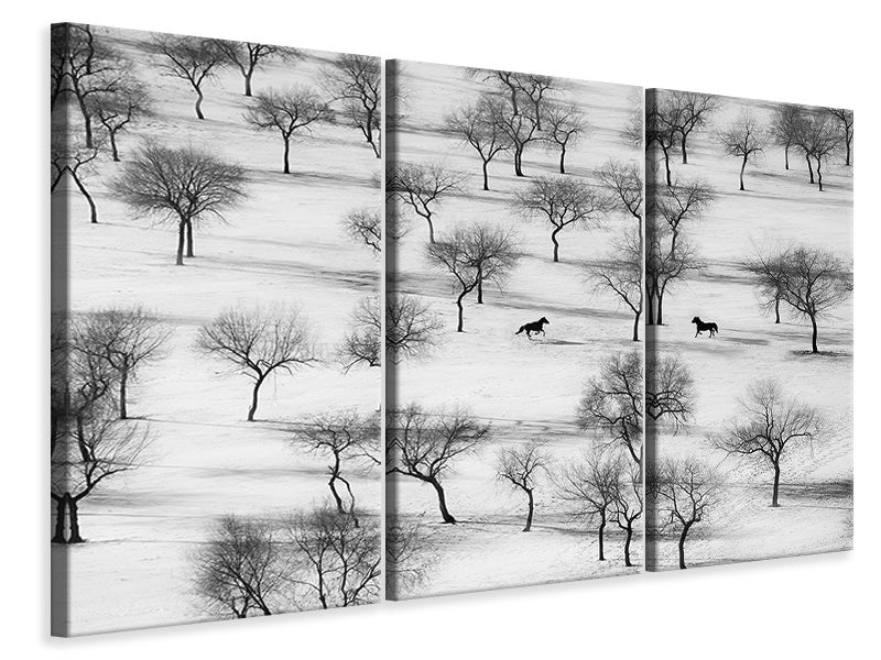 3-piece-canvas-print-run