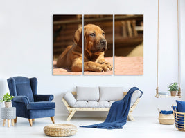 3-piece-canvas-print-sad-dog-look