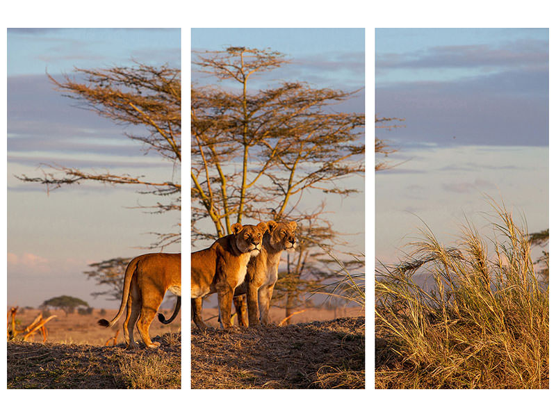 3-piece-canvas-print-sisters