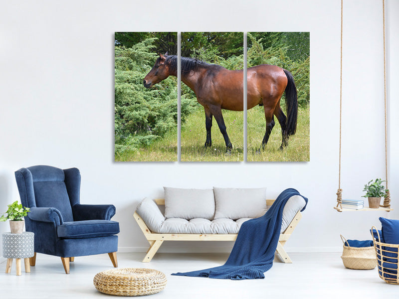 3-piece-canvas-print-strong-horse