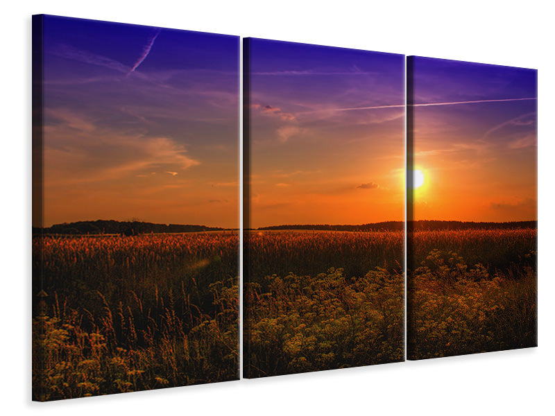 3-piece-canvas-print-sunset-at-the-flower-field