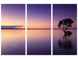 3-piece-canvas-print-sunset-on-the-tree-in-the-water