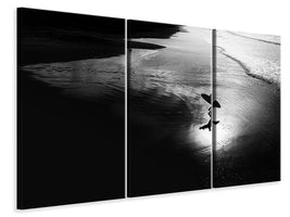 3-piece-canvas-print-surf-xi