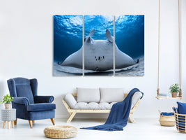 3-piece-canvas-print-take-off-manta-airline