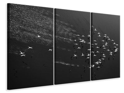 3-piece-canvas-print-take-off