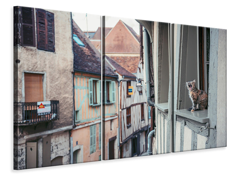 3-piece-canvas-print-territory