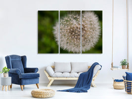 3-piece-canvas-print-the-dandelion-in-nature