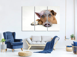 3-piece-canvas-print-the-funny-pig-dog