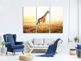 3-piece-canvas-print-the-giraffe