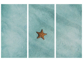 3-piece-canvas-print-the-little-starfish