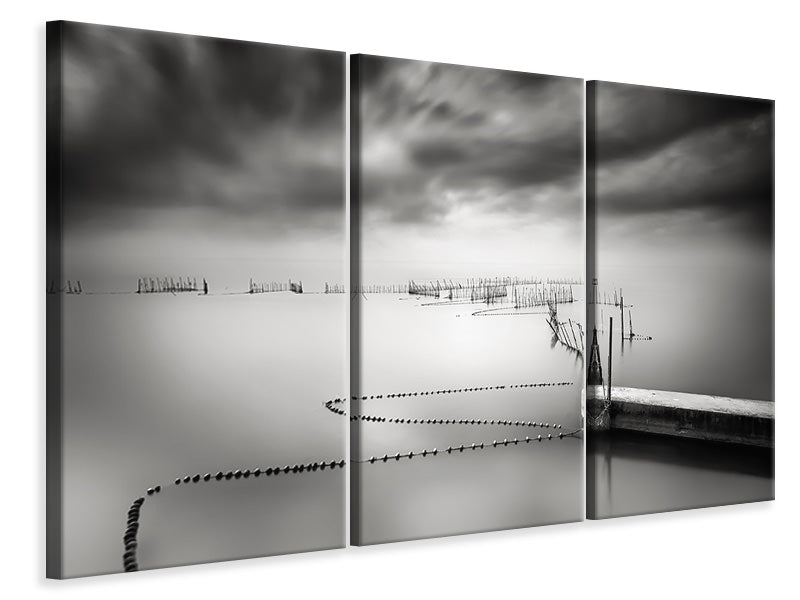 3-piece-canvas-print-the-netfish-iii