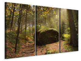 3-piece-canvas-print-the-rock-in-the-forest