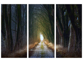 3-piece-canvas-print-the-tree-avenue