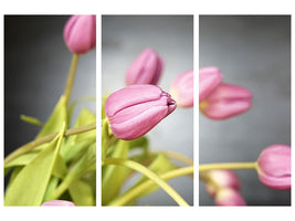 3-piece-canvas-print-the-tulip-bouquet-in-pink