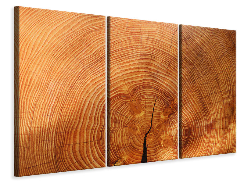 3-piece-canvas-print-tree-rings