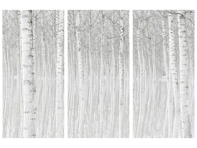 3-piece-canvas-print-trees